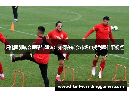 归化国脚转会策略与建议：如何在转会市场中找到最佳平衡点